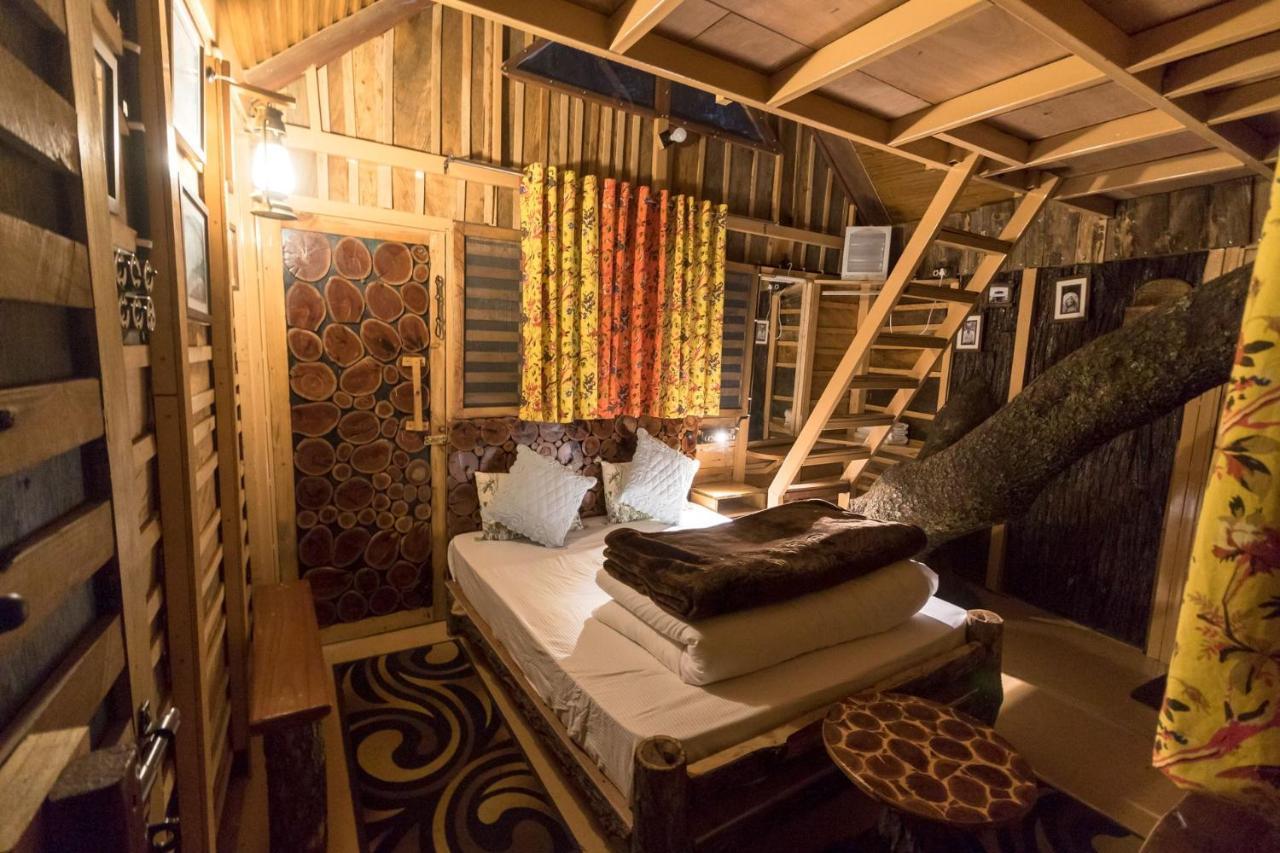 Tiger Fall Eco Resort Chakrata Ngoại thất bức ảnh